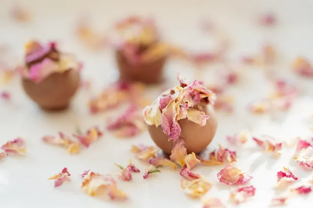 فيفر سلوتس كازينو تطبيق أندرويد/آي أو إس